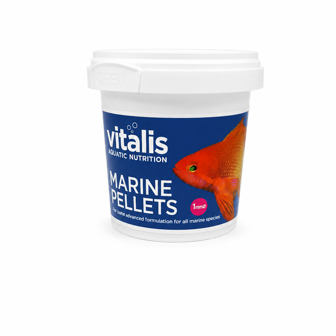 Vitalis Marine Pellets 1mm (XS) 70g