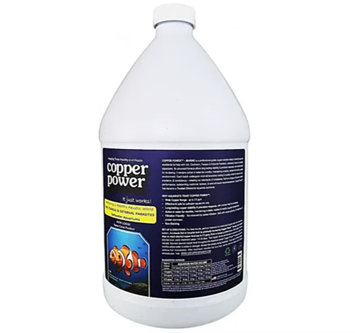 Copper Power Blue 1 Gallon-Marine