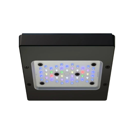 Radion XR15 G6 PRO LED Light