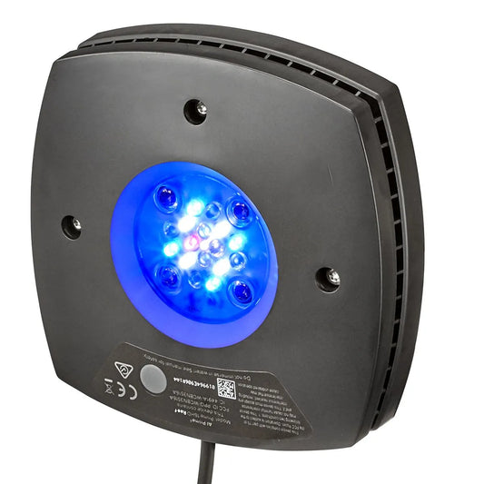 Prime 16 HD LED Light - Black