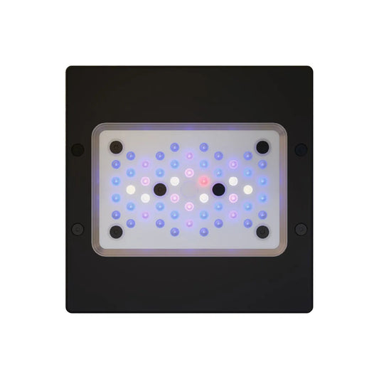 Radion XR15 G6 Blue LED Light Fixture