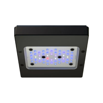Radion XR15 G6 Blue LED Light Fixture