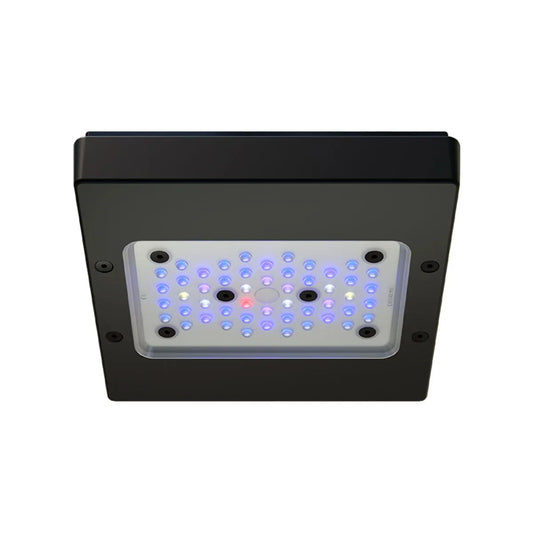 Radion XR15 G6 Blue LED Light Fixture